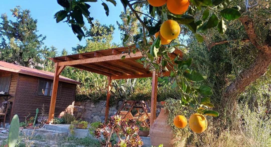 Levantes Garden House - Keratókambos Exterior foto
